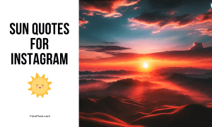 Sun Quotes for Instagram