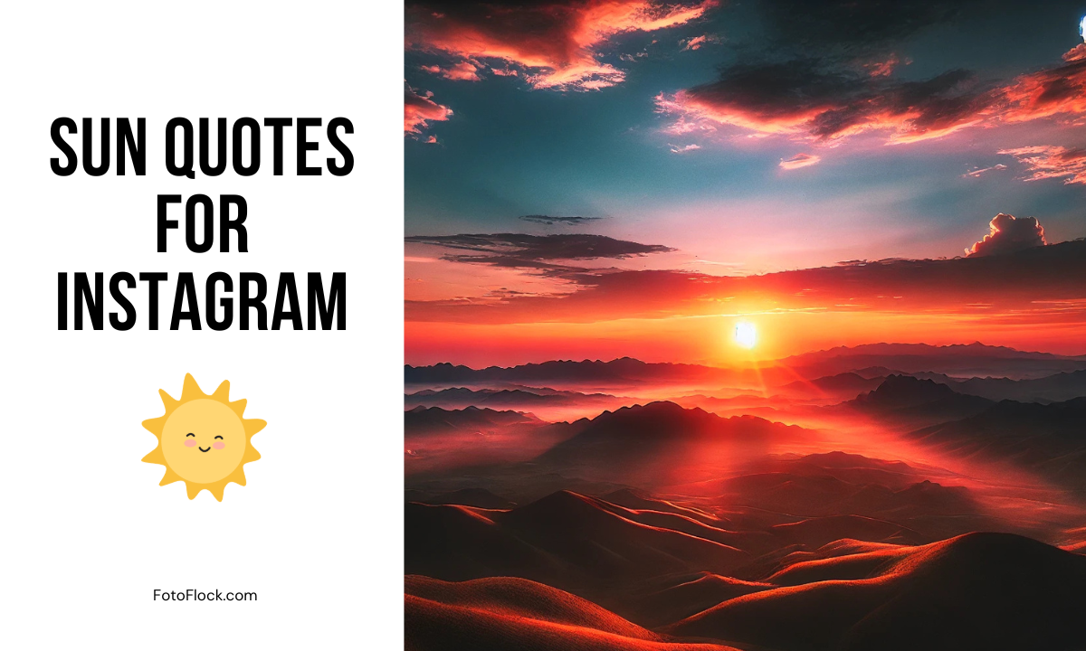 301 Sun Quotes for Instagram to Brighten Your Feed