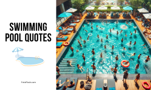 Swimming Pool Quotes