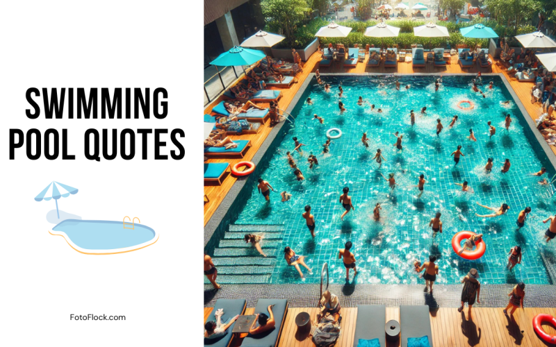 Swimming Pool Quotes